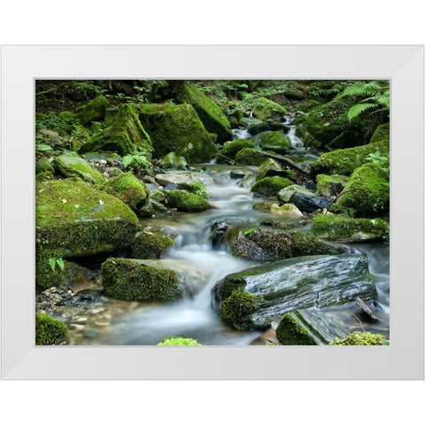 Waterfall 26 White Modern Wood Framed Art Print by Lee, Rachel