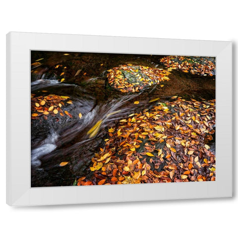 Waterfall 29 White Modern Wood Framed Art Print by Lee, Rachel
