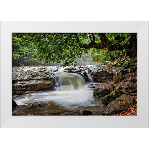 Waterfall 30 White Modern Wood Framed Art Print by Lee, Rachel
