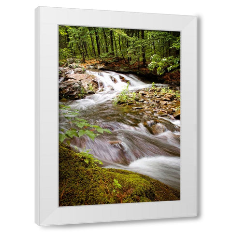 Waterfall 9 White Modern Wood Framed Art Print by Lee, Rachel