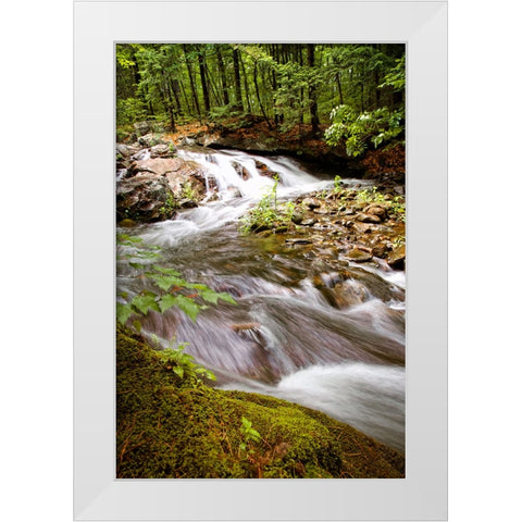 Waterfall 9 White Modern Wood Framed Art Print by Lee, Rachel