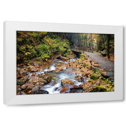 Waterfall And Walking Path White Modern Wood Framed Art Print by Lee, Rachel