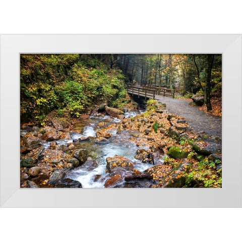 Waterfall And Walking Path White Modern Wood Framed Art Print by Lee, Rachel