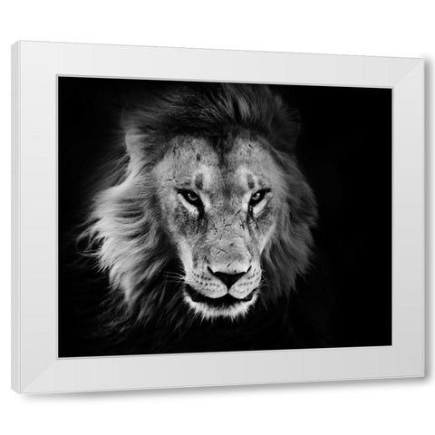 Wildlife 12 White Modern Wood Framed Art Print by Lee, Rachel