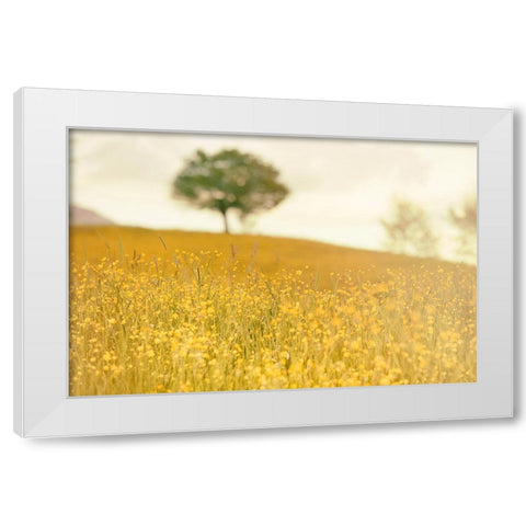 Yellow Meadow White Modern Wood Framed Art Print by Lee, Rachel