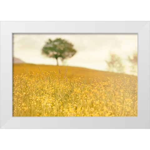 Yellow Meadow White Modern Wood Framed Art Print by Lee, Rachel