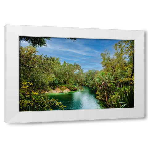 Blue Lagoon White Modern Wood Framed Art Print by Malone, Will
