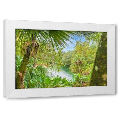 Blue Springs State Park 2 White Modern Wood Framed Art Print by Malone, Will