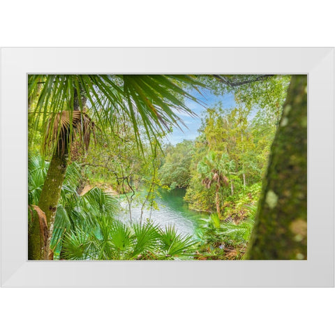 Blue Springs State Park 2 White Modern Wood Framed Art Print by Malone, Will