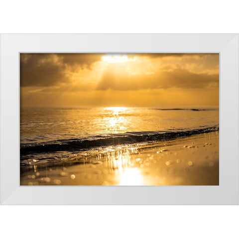 Golden White Modern Wood Framed Art Print by Malone, Will