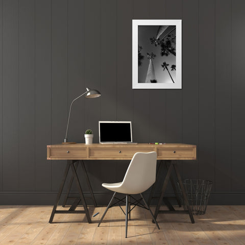 Monochrome Palms White Modern Wood Framed Art Print by Malone, Will