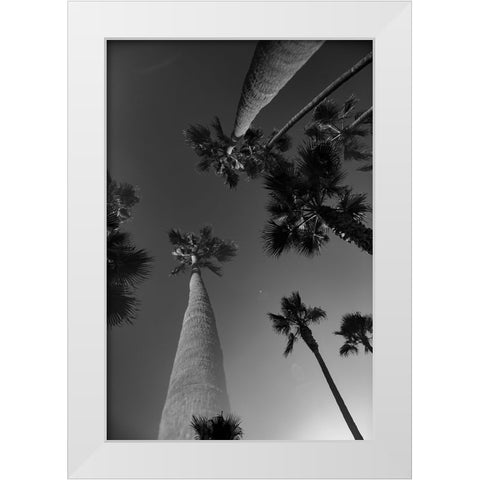 Monochrome Palms White Modern Wood Framed Art Print by Malone, Will