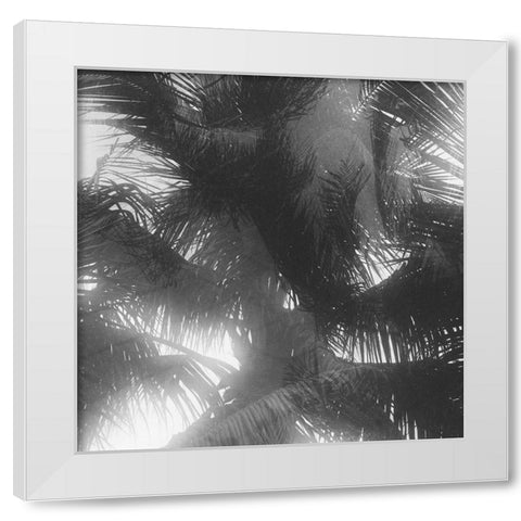 Palm 4 White Modern Wood Framed Art Print by Malone, Will