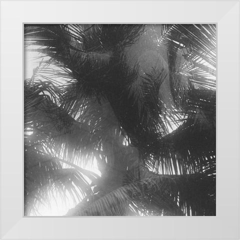 Palm 4 White Modern Wood Framed Art Print by Malone, Will