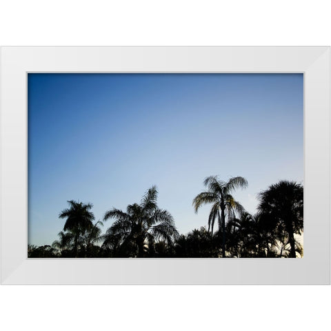 Palm Twilight White Modern Wood Framed Art Print by Malone, Will