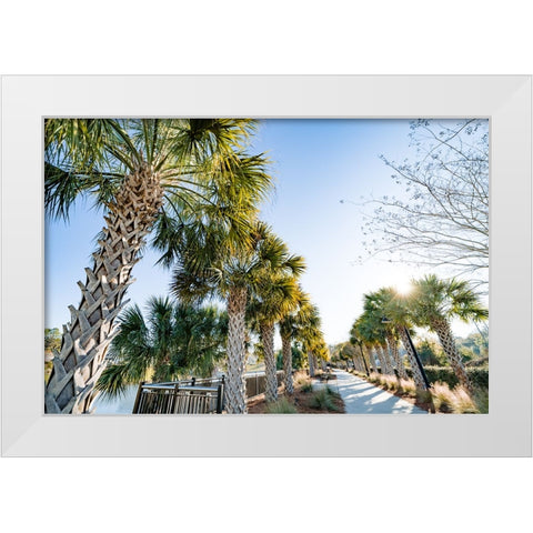 Palm Walk White Modern Wood Framed Art Print by Malone, Will