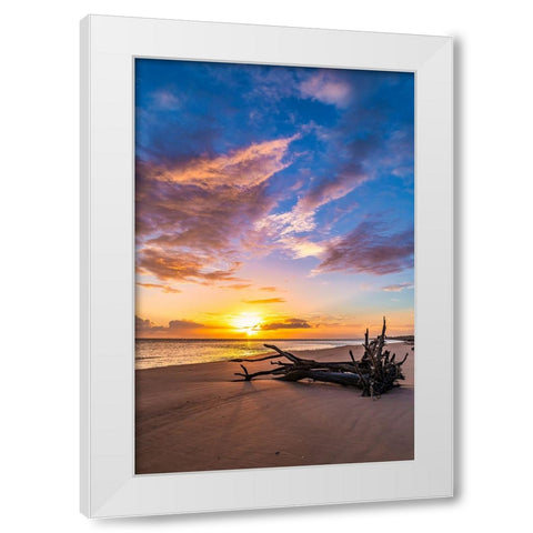 Rise White Modern Wood Framed Art Print by Malone, Will
