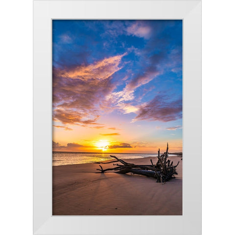 Rise White Modern Wood Framed Art Print by Malone, Will