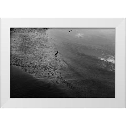 The Marshes White Modern Wood Framed Art Print by Malone, Will