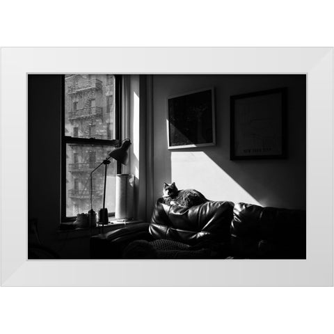 City Cat White Modern Wood Framed Art Print by Malone, Will