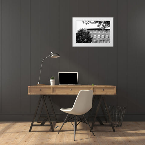 Sunny Windows BW  White Modern Wood Framed Art Print by Malone, Will