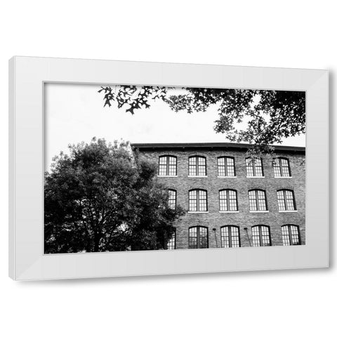 Sunny Windows BW  White Modern Wood Framed Art Print by Malone, Will