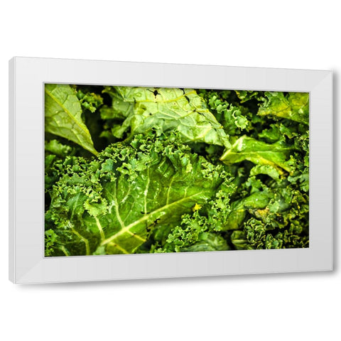 Kale Up Close White Modern Wood Framed Art Print by Malone, Will