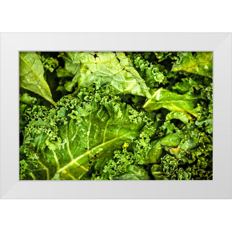 Kale Up Close White Modern Wood Framed Art Print by Malone, Will