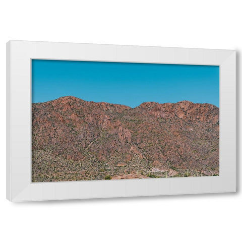 Cactus Mountain 1 White Modern Wood Framed Art Print by Malone, Will