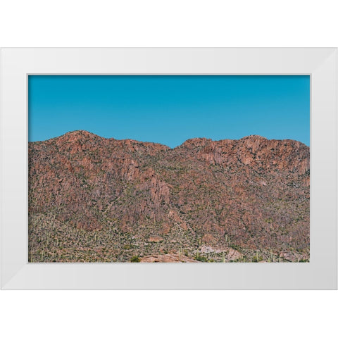 Cactus Mountain 1 White Modern Wood Framed Art Print by Malone, Will