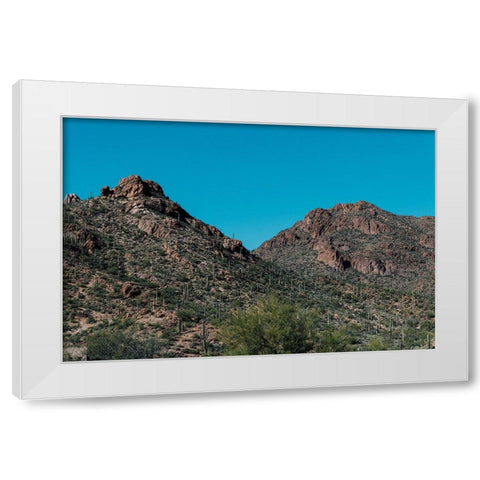 Cactus Mountain 2 White Modern Wood Framed Art Print by Malone, Will