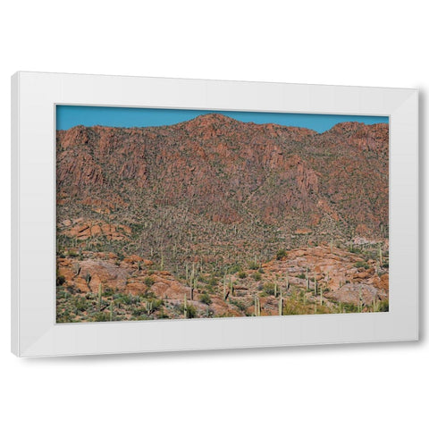 Cactus Mountain 3 White Modern Wood Framed Art Print by Malone, Will