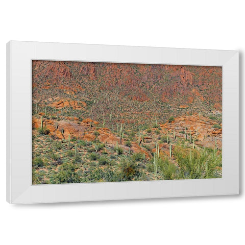 Cactus Mountain 6 White Modern Wood Framed Art Print by Malone, Will