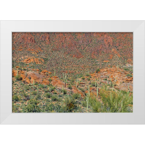 Cactus Mountain 6 White Modern Wood Framed Art Print by Malone, Will