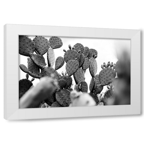 Carolina Cactus White Modern Wood Framed Art Print by Malone, Will