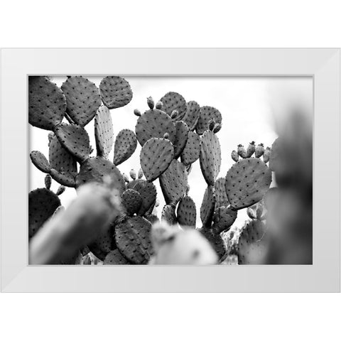 Carolina Cactus White Modern Wood Framed Art Print by Malone, Will