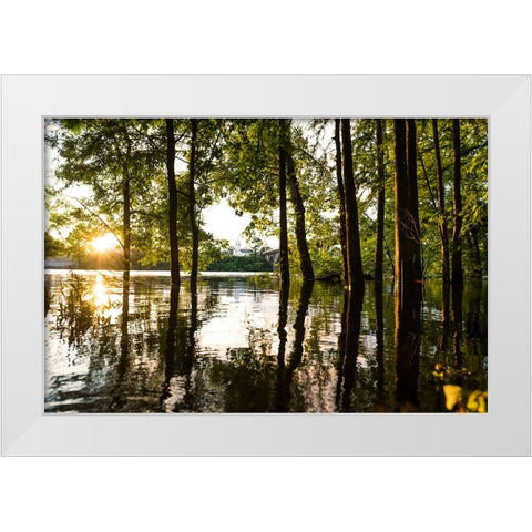 Coosa Gold White Modern Wood Framed Art Print by Malone, Will