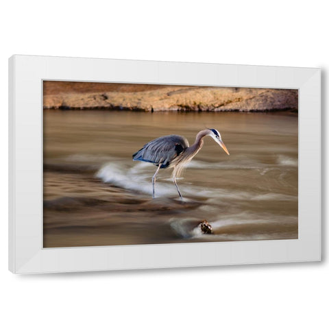 The Bird White Modern Wood Framed Art Print by Malone, Will