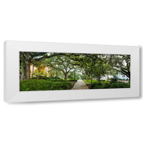 Chain of Parks Rain 2 White Modern Wood Framed Art Print by Malone, Will