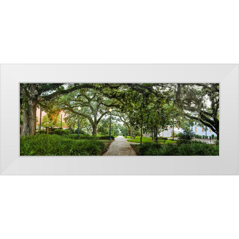 Chain of Parks Rain 2 White Modern Wood Framed Art Print by Malone, Will
