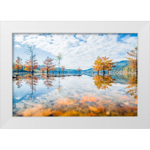 Fall Lake White Modern Wood Framed Art Print by Malone, Will