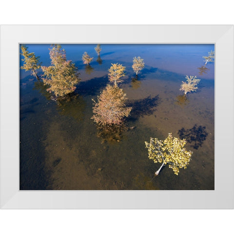 Fall Lake 2 White Modern Wood Framed Art Print by Malone, Will
