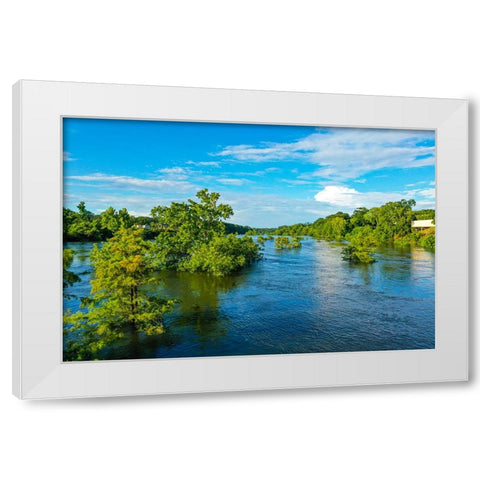 Blooming on the Coosa 3 White Modern Wood Framed Art Print by Malone, Will