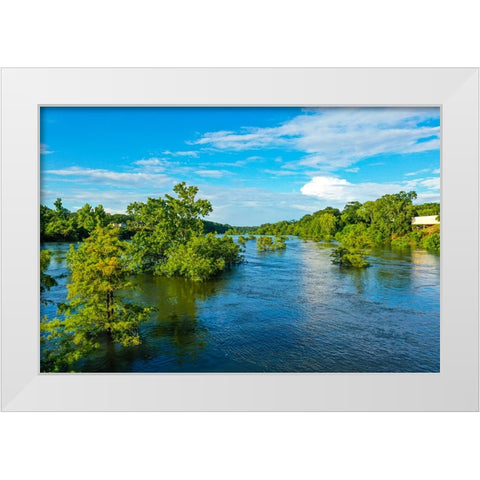 Blooming on the Coosa 3 White Modern Wood Framed Art Print by Malone, Will