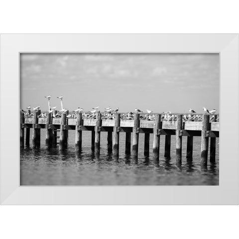 Seagull Hangout White Modern Wood Framed Art Print by Malone, Will