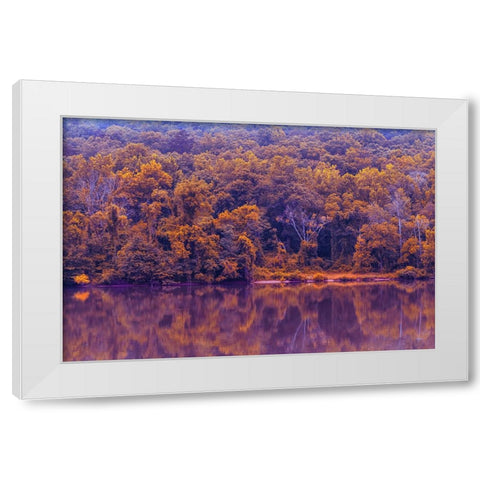 Across The River Infrared White Modern Wood Framed Art Print by Malone, Will