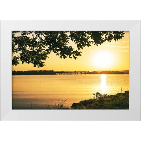 Alabama Line White Modern Wood Framed Art Print by Malone, Will