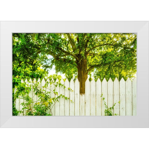 White Pickett Fence 2 White Modern Wood Framed Art Print by Malone, Will