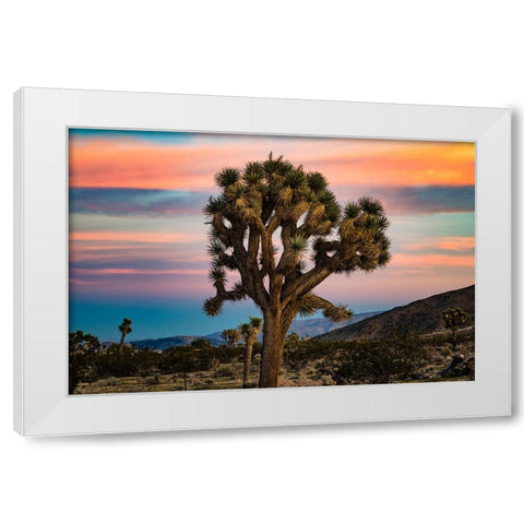 Cotton Candy Tree White Modern Wood Framed Art Print by Malone, Will