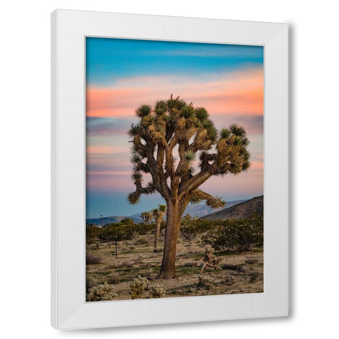 Cotton Candy Tree 2 White Modern Wood Framed Art Print by Malone, Will